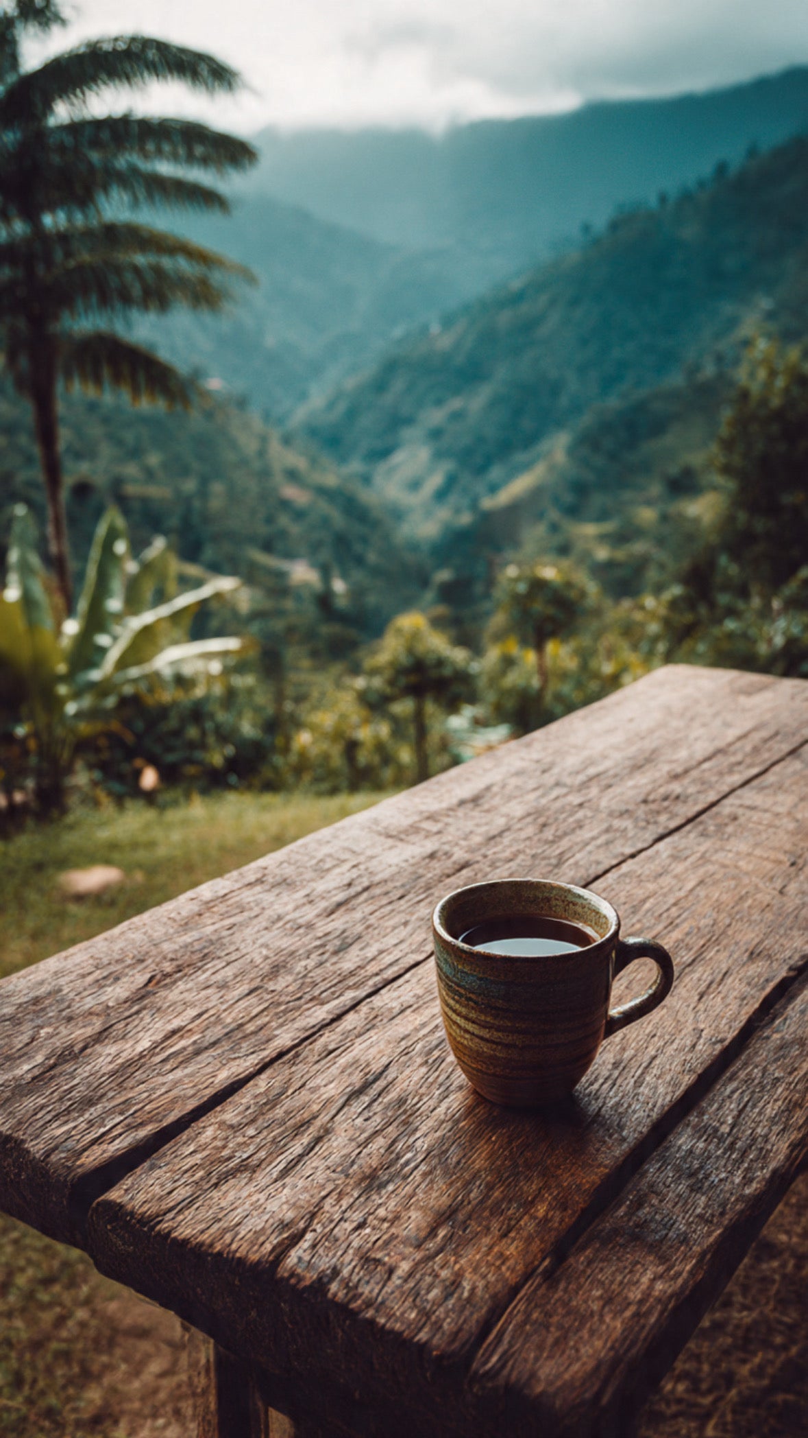 Organic Colombia Tolima Rio Blanco