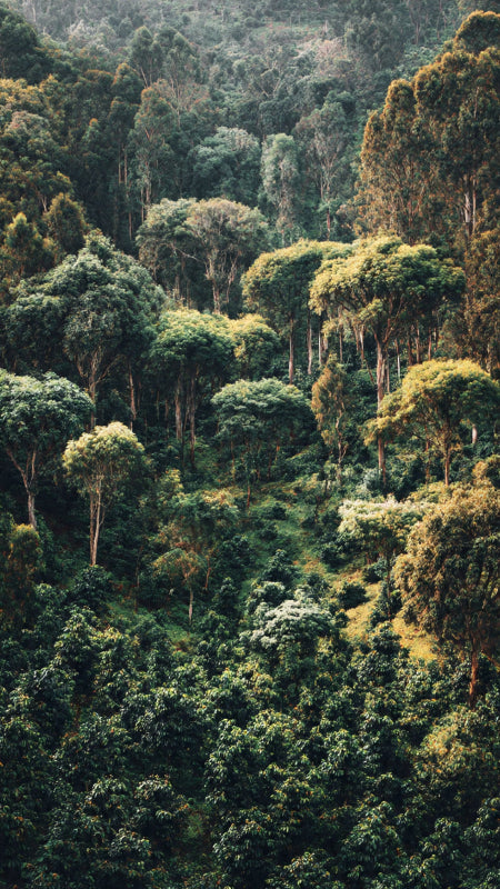 Rift Valley Reserve 