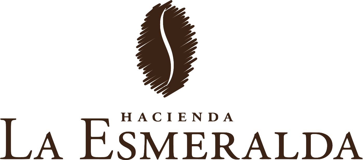 Panama Geisha - Esmeralda Geisha Mario Natural Process - 4oz WHOLE BEAN